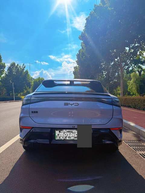 BYD Han EV photo 2