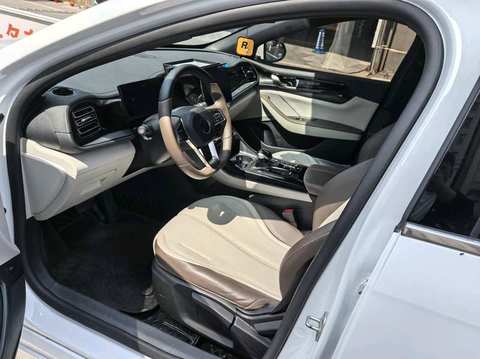 BYD Qin PLUS EV photo 3
