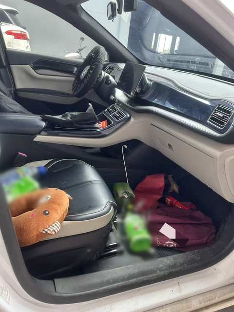 Фото BYD Qin PLUS EV — 2