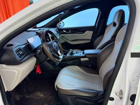 BYD Qin PLUS EV photo 3