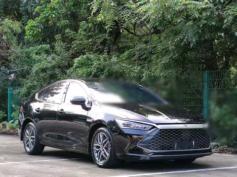 BYD Qin PLUS EV photo 2