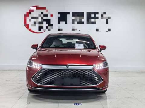 BYD Qin PLUS EV photo 2