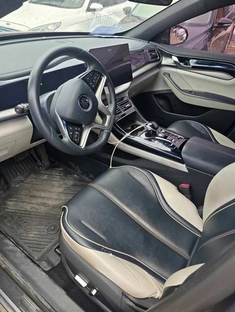 BYD Qin PLUS EV photo 2