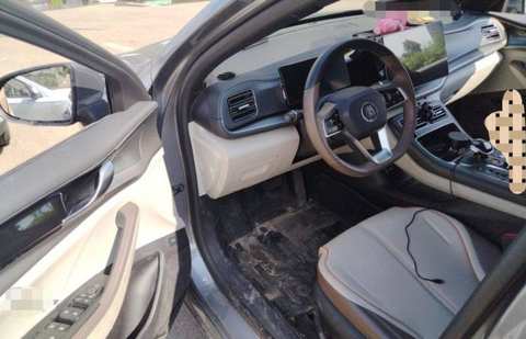 BYD Qin PLUS EV photo 2