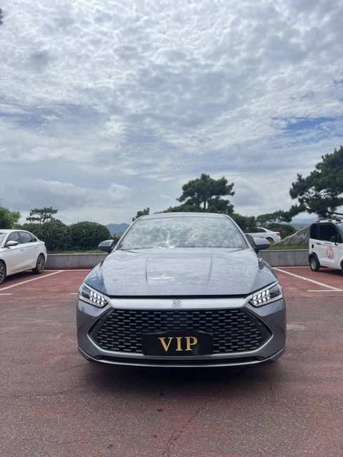 BYD Qin PLUS EV photo 2