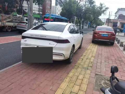 BYD Qin PLUS EV foto 3