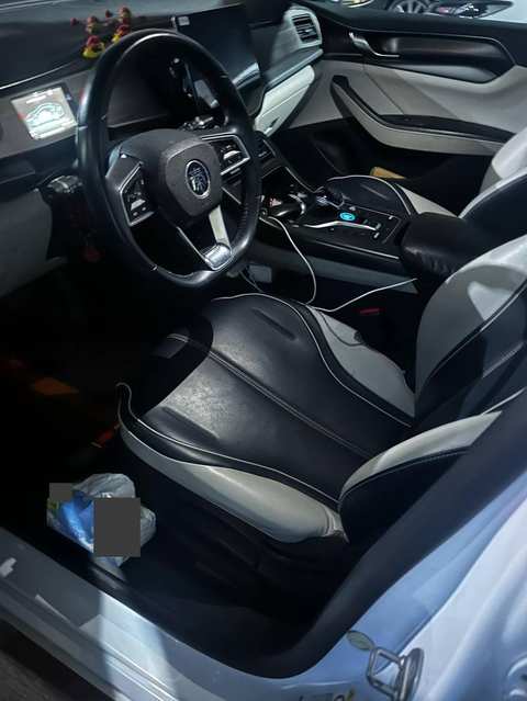 BYD Qin PLUS EV photo 2