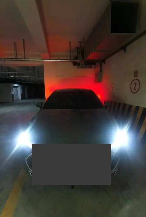BYD Qin PLUS EV foto 2