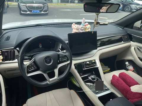 BYD Seal U photo 3