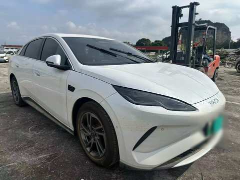 Photo du BYD Sealion 6 3