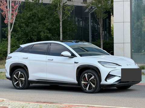 Photo du BYD Sealion 7 3