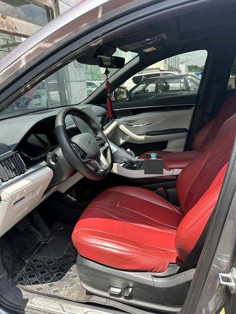 صورة BYD Song PLUS EV رقم 2