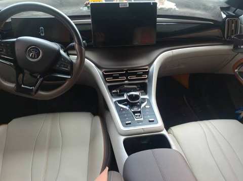 BYD Song PLUS EV photo 3
