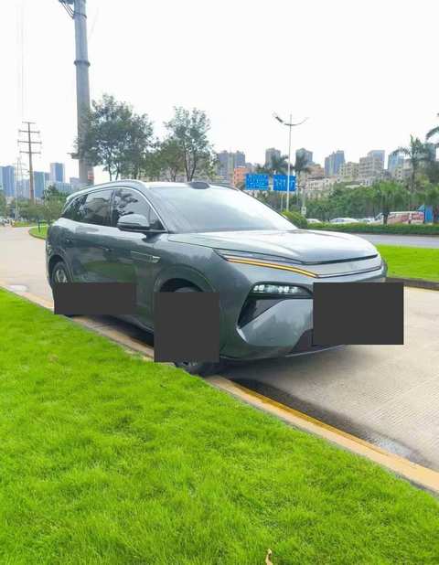 Photo du BYD Tang EV 2